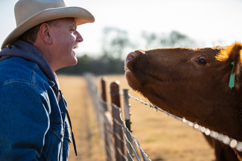 You don't need to live next door to a cow to get a USDA home loan — many suburban households qualify. (Getty Images)