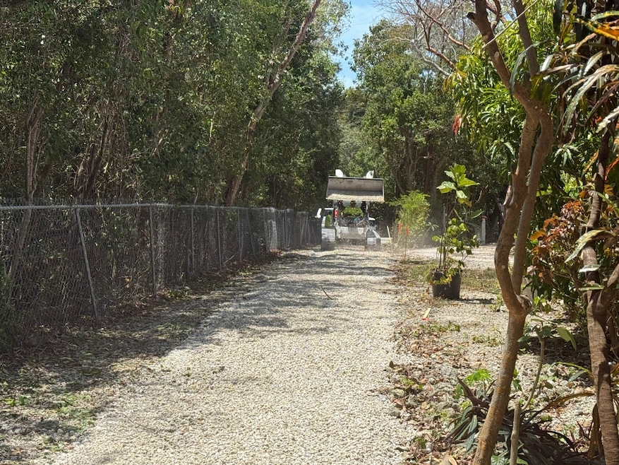 After living in Florida's Tavernier community for more than three decades, Lou Ann Steed Buschlen planted nearly 100 trees and shrubs in recent years to provide her with privacy. The fire department cleared the land in April amid a tense debate over property rights. (Mitchell Akullian)