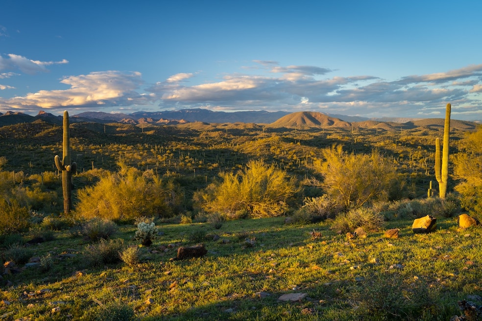 This is a view of the site that will house Saddleback, a Peoria, Arizona, development expected to contain 6,500 homes. (Castle Hill Partners)
