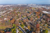Virginia should prioritize saving trees as it builds housing, report says