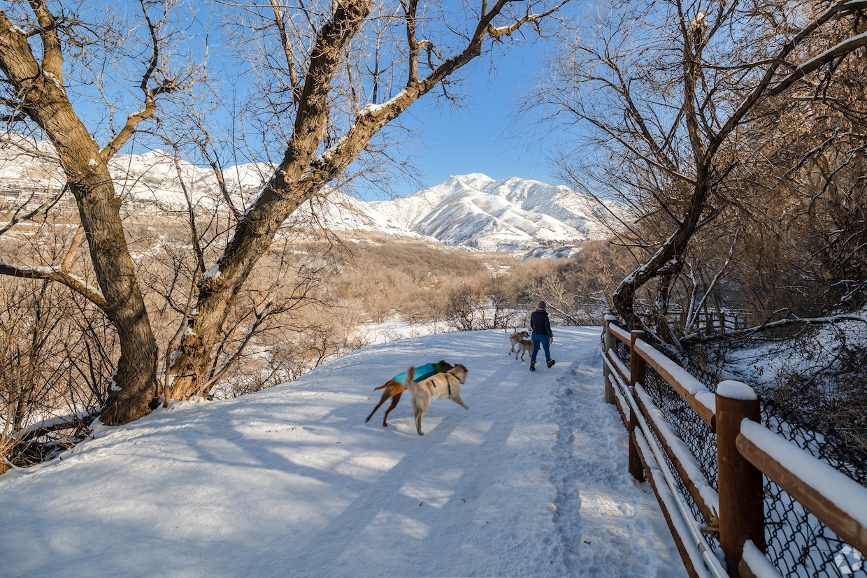 Pet owners in the Arcadia Heights section of Salt Lake City take their dogs for a brisk walk along the hiking trails. (Marcel De Lima/CoStar)
