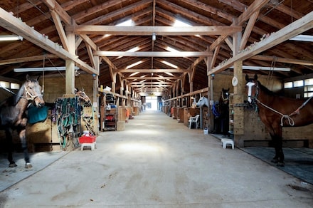 The home at 147 Eastport Manor on Long Island comes with a horse training track and a 55-stall barn. (Service Realty)