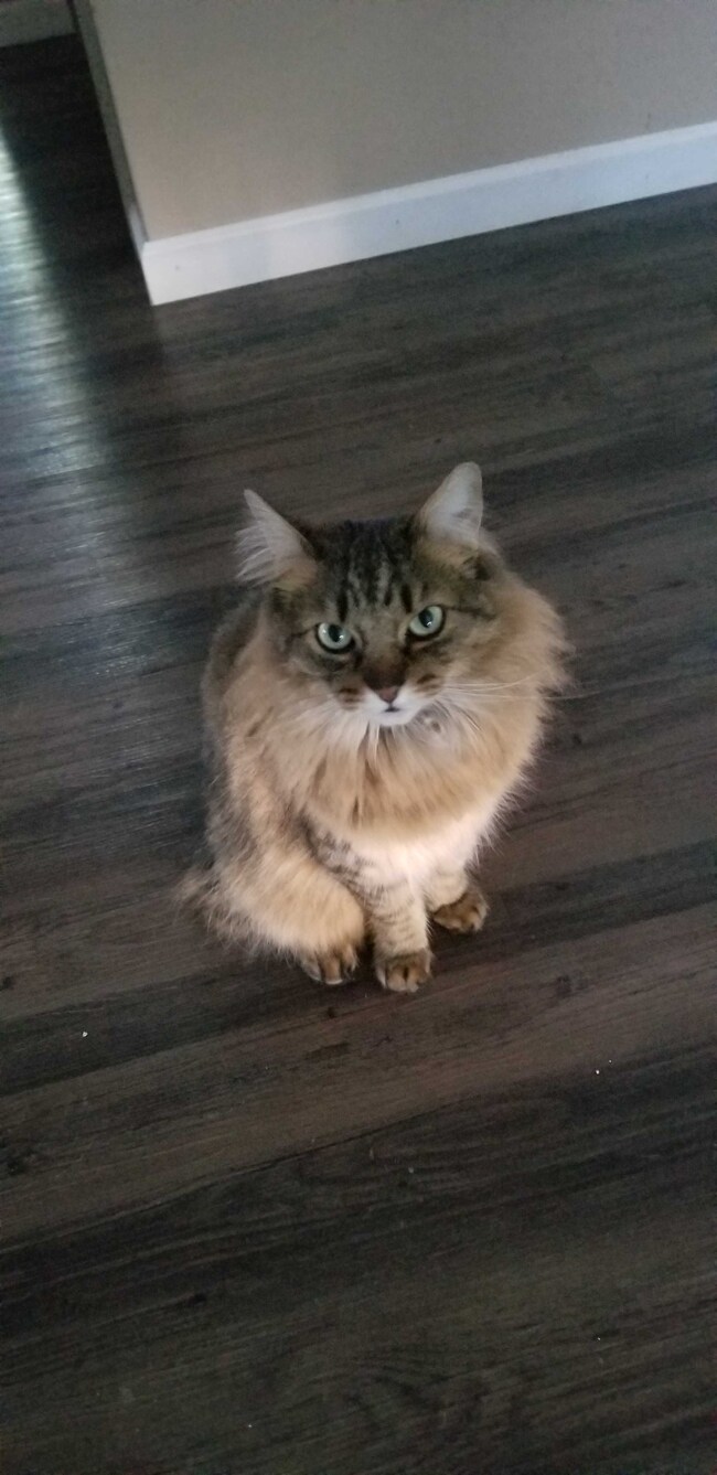 Agent Photo