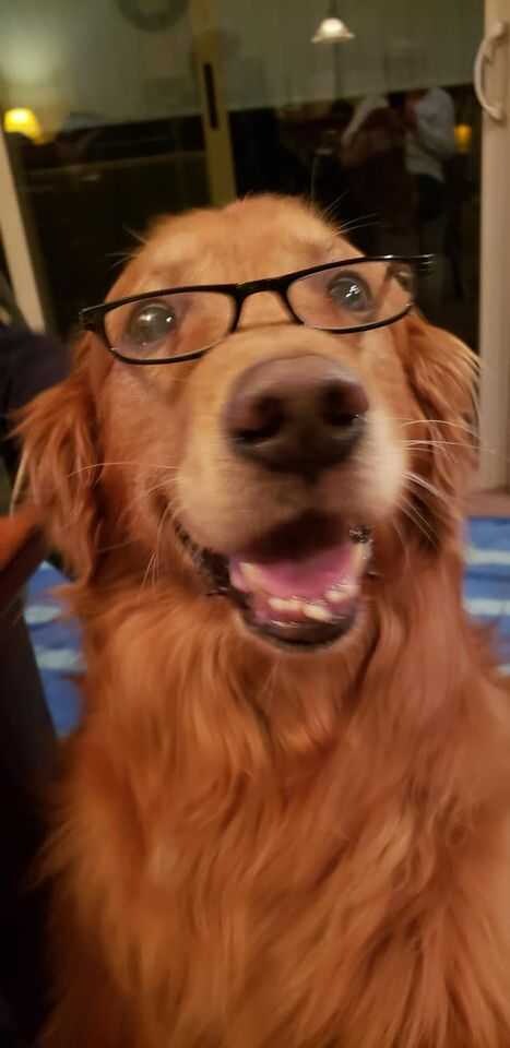Agent Photo