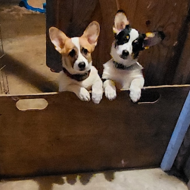 Agent Photo