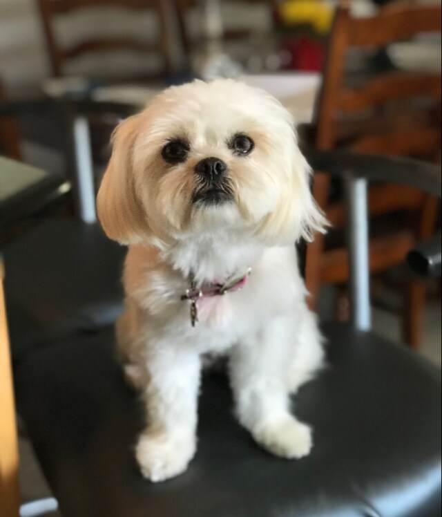 Agent Photo